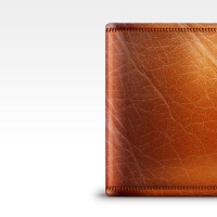 Leather Wallet Icon