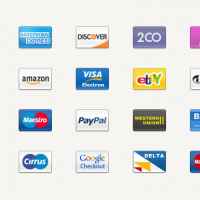 PAYMENT ICONS SET FREEBIE