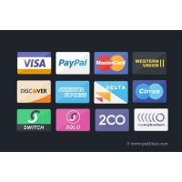 Credit Card, Debit Card and Payment Icons Set