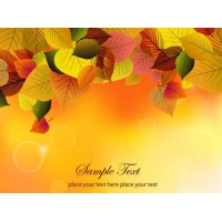 Autumn Background With Leaves