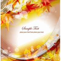 Free Vector Autumn Floral Background