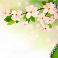 Green pink flower background