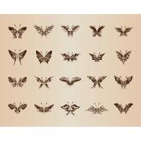 Butterflies for Design Vector Set