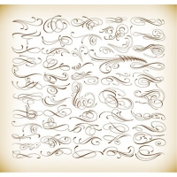 Calligraphic Elements Vector Set for Your Design