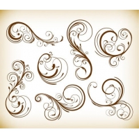 Various Swirl Floral Elements Vector Illustration Set