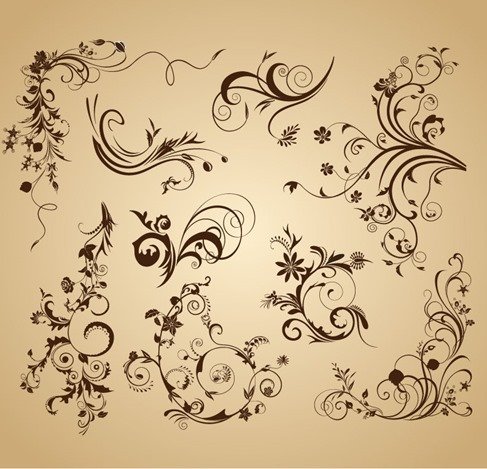 Set of Floral Vintage Vector Design Decoration Elements