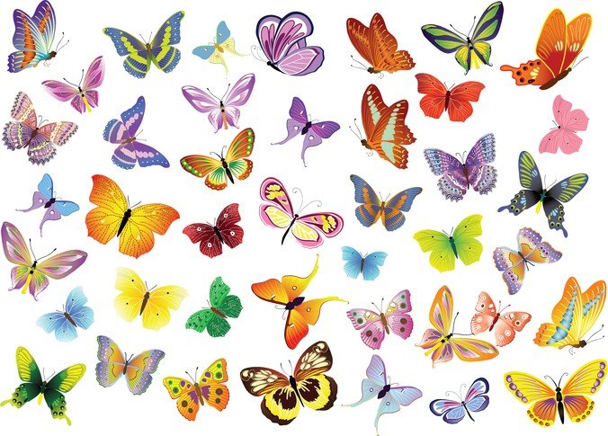 Free Vector Set Of Butterflies Decoration