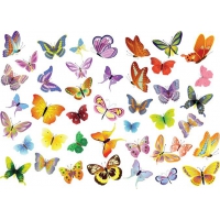 Free Vector Set Of Butterflies Decoration