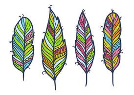 Free Feather Isolated Vector Set