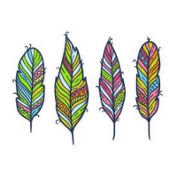 Free Feather Isolated Vector Set