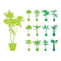 Potted Plants Silhouettes Set