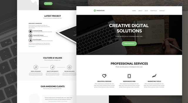 Treehouse Website PSD Template