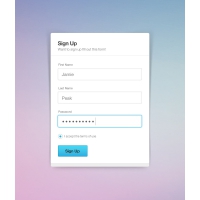 Clean Sign Up Form