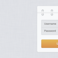 Log In Form PSD