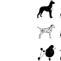 Free Vector Dogs