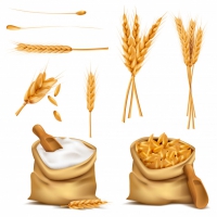 Realistic Set Cereals 3d Icon