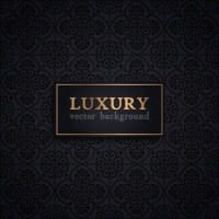 Luxury Vector Pattern 