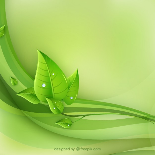 Eco Leaves And Green Waves