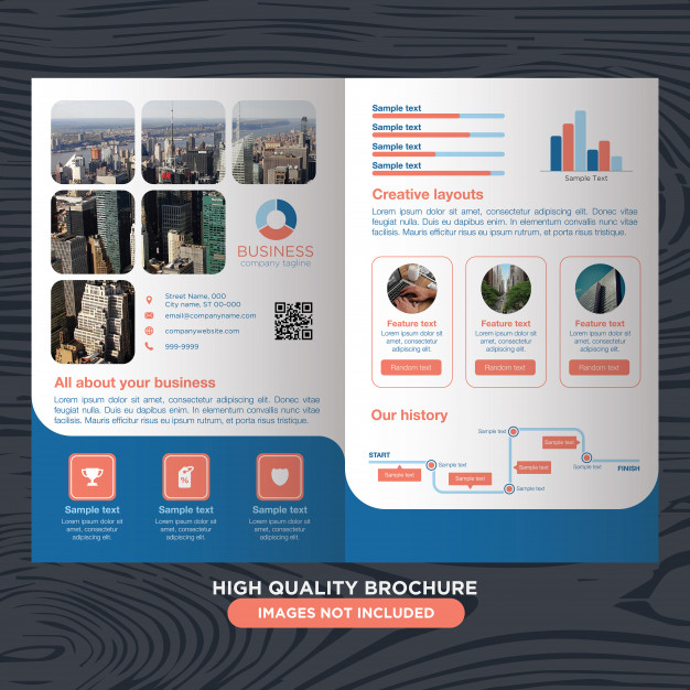 Modern And Professional Brochure For Business