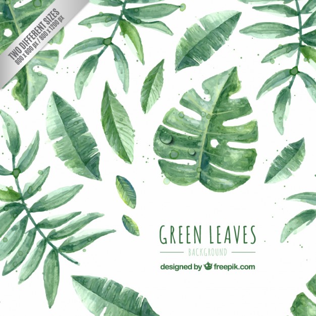 Hand Painted Green Leaves Pack 