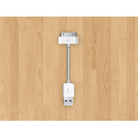 Apple USB Charger