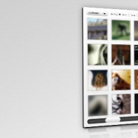 PSD Layout for Flash / JavaScript Gallery