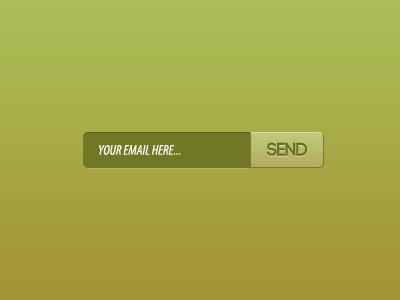 Email Sign Up Interface