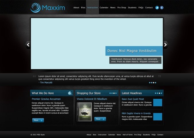 Maxxim Free Dark Texture Website Template