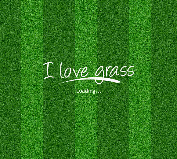 Grass Texture-Seamless
