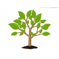 Green Tree Environment Symbol (PSD)