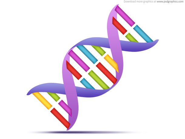 DNA Strands, Medical Icon (PSD)