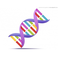 DNA Strands, Medical Icon (PSD)