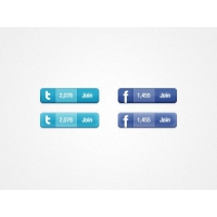 Twitter & Facebook Widget