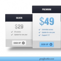 Web Price Display With Interface Design