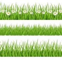 Green Grass PSD
