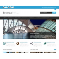 Euonymus Free PSD Website Template