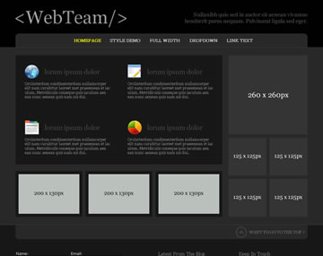 WebTeam Free PSD Website Template