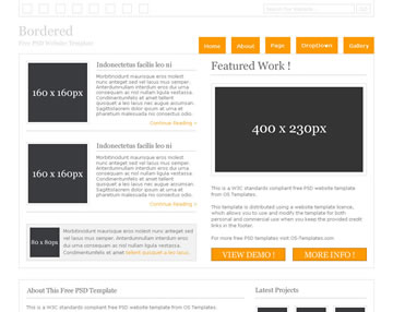 Bordered Free PSD Website Template