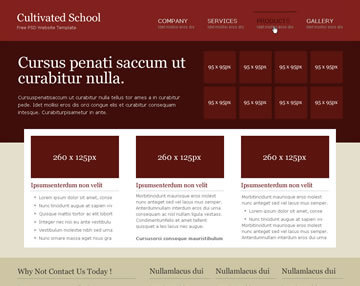 Cultivated School Free PSD Website Template