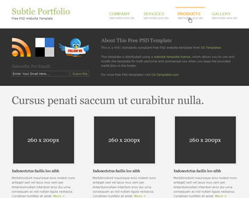 Subtle Portfolio Free PSD Website Template