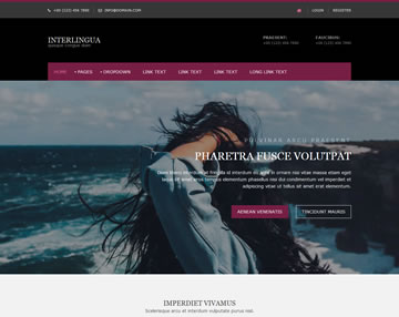 Interlingua Free Website Template