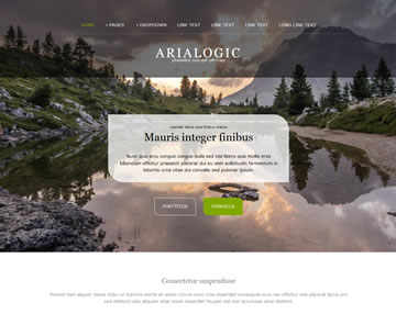 Arialogic Free Website