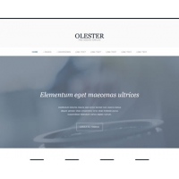Olester Free Website