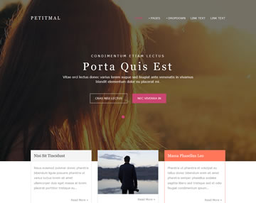 Petitmal Free Website 