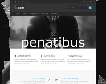 Centry Free Website 