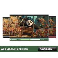 Web Video Player 