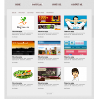 Sleeko Single Page Website Design By Rafi