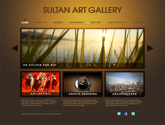Sultan Art Gallery By Faizan Haider