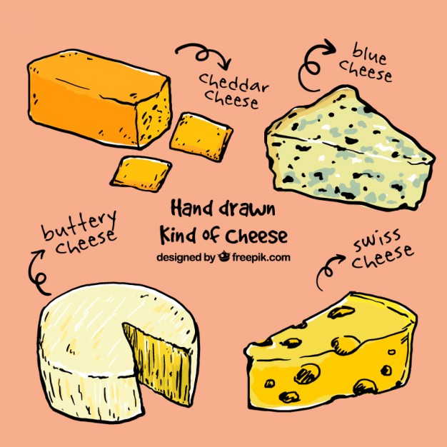 Variety Of Sketches Cheese
