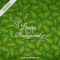 Hand Painted Leaves Green Background 